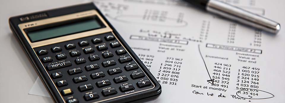 Estimated Tax Liability Calculator
